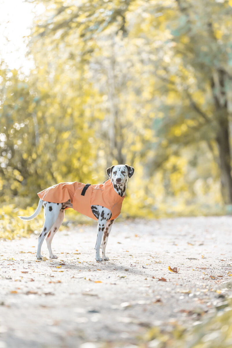 Imperméable Vimy orange