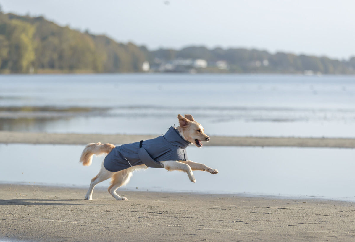Manteau Explore Light gris