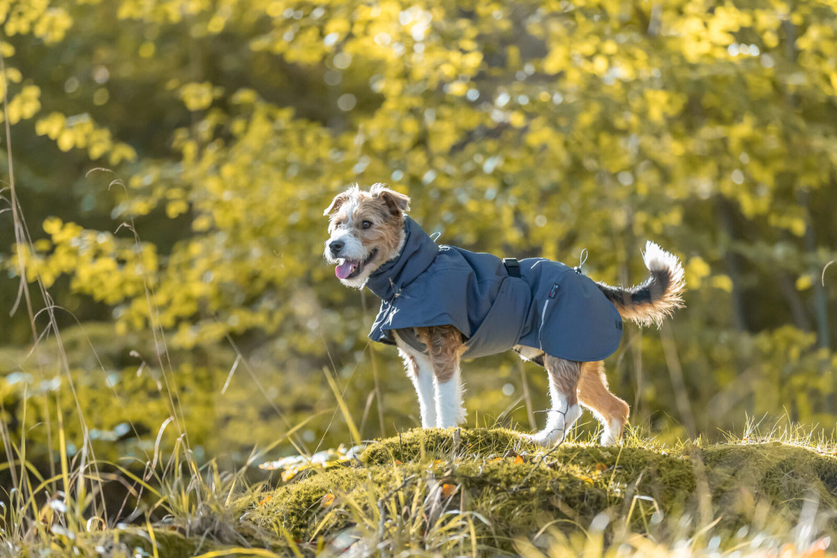 Manteau Explore Light gris