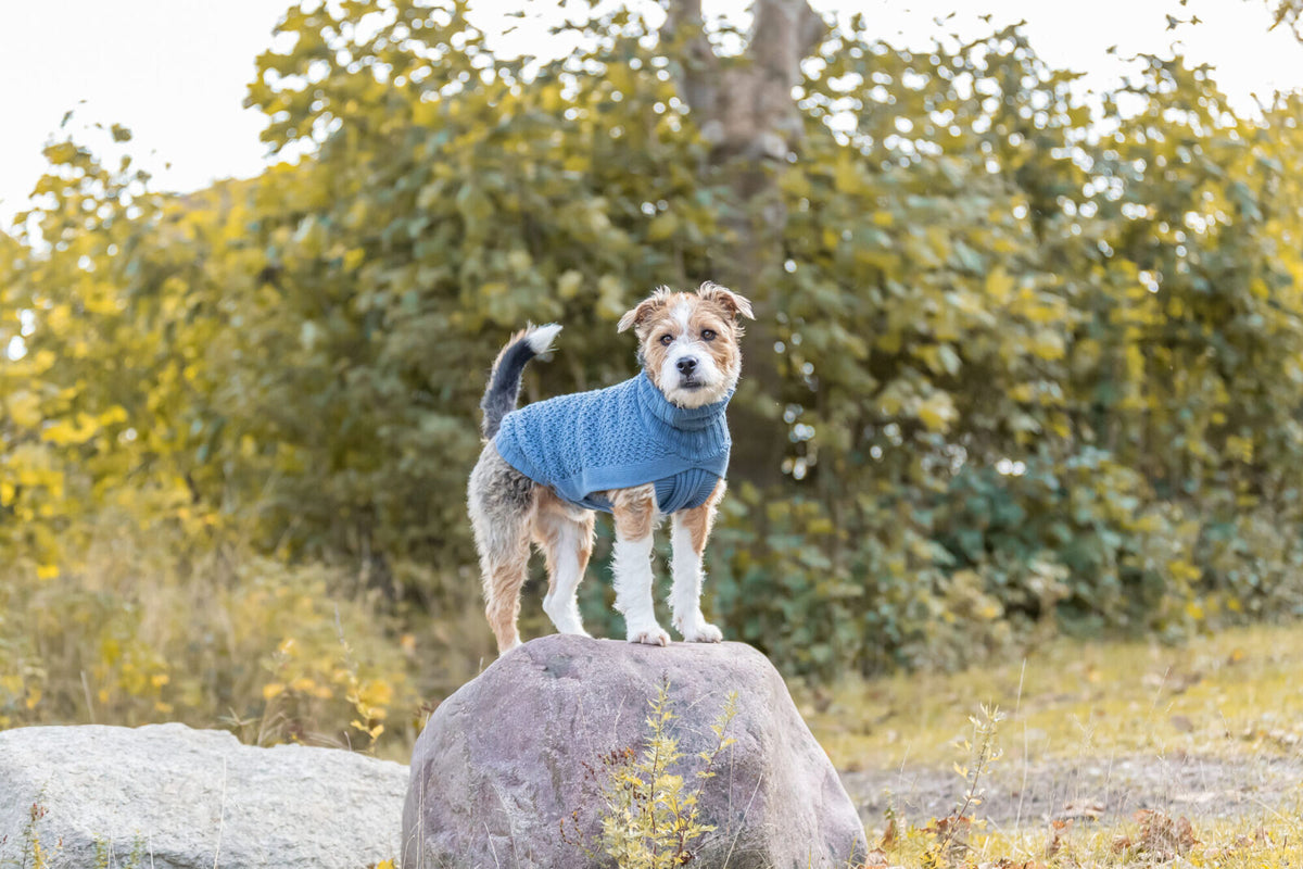 Pull over Norwood bleu gris