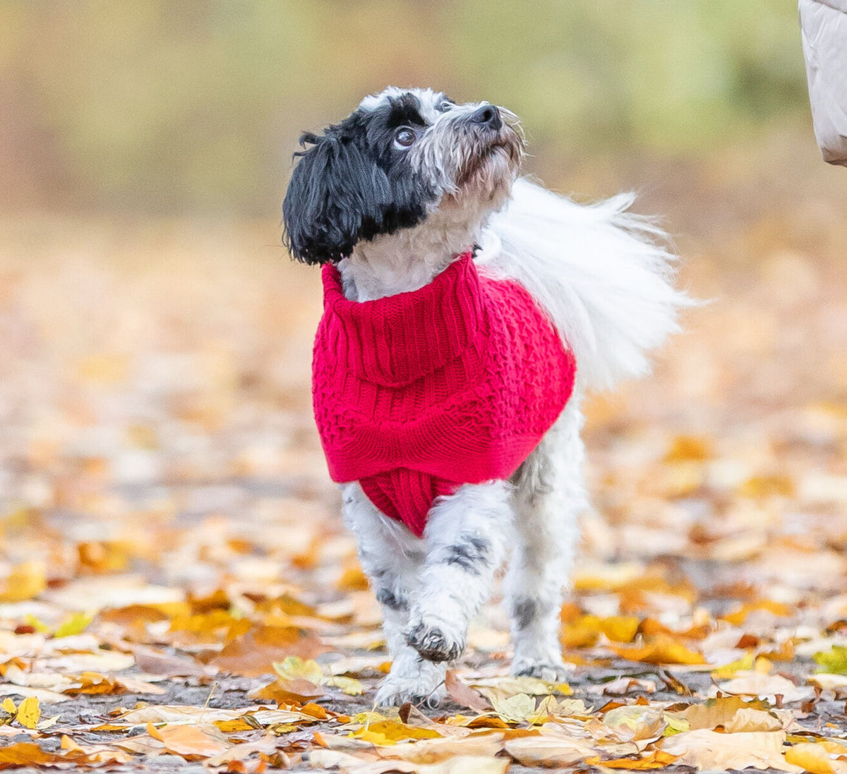 Pull-over Norwood rouge