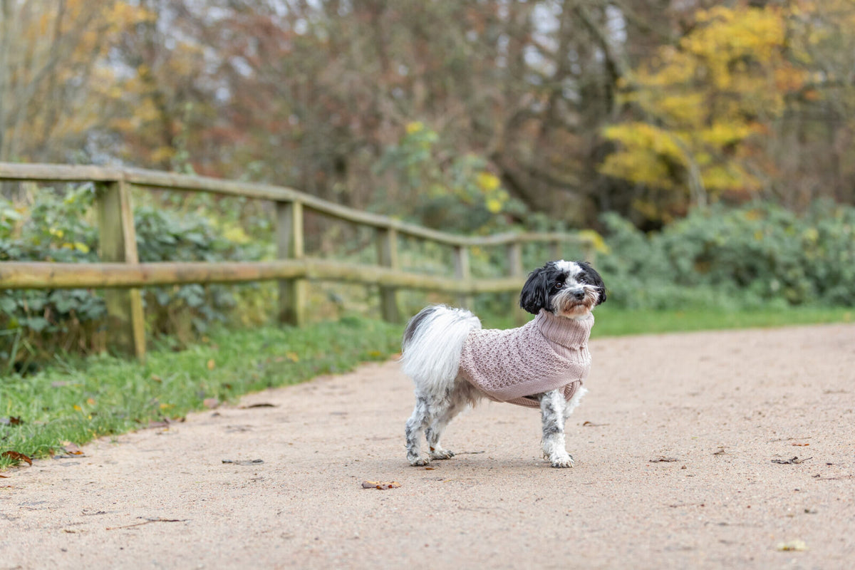Pull-over Norwood blush