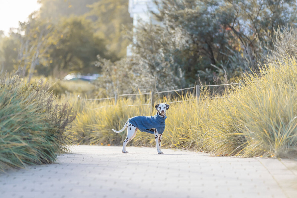 Pull over Norwood bleu gris