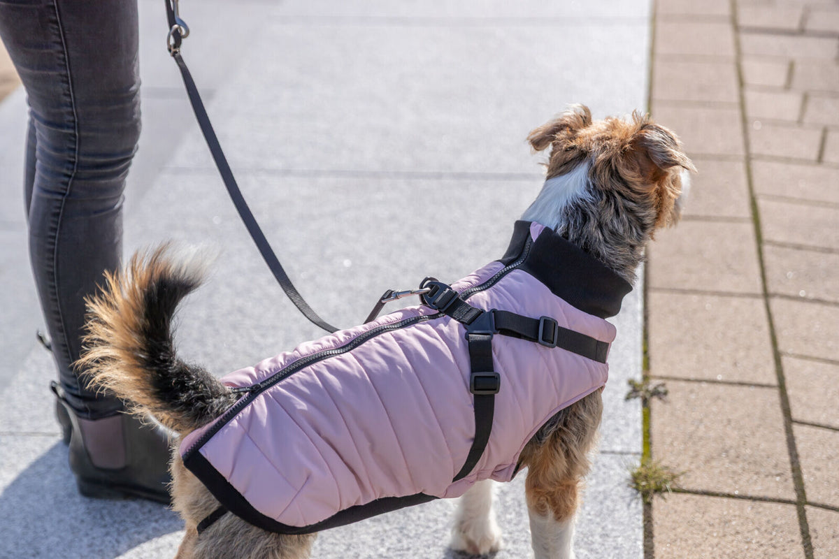 Manteau Pontis avec harnais rose