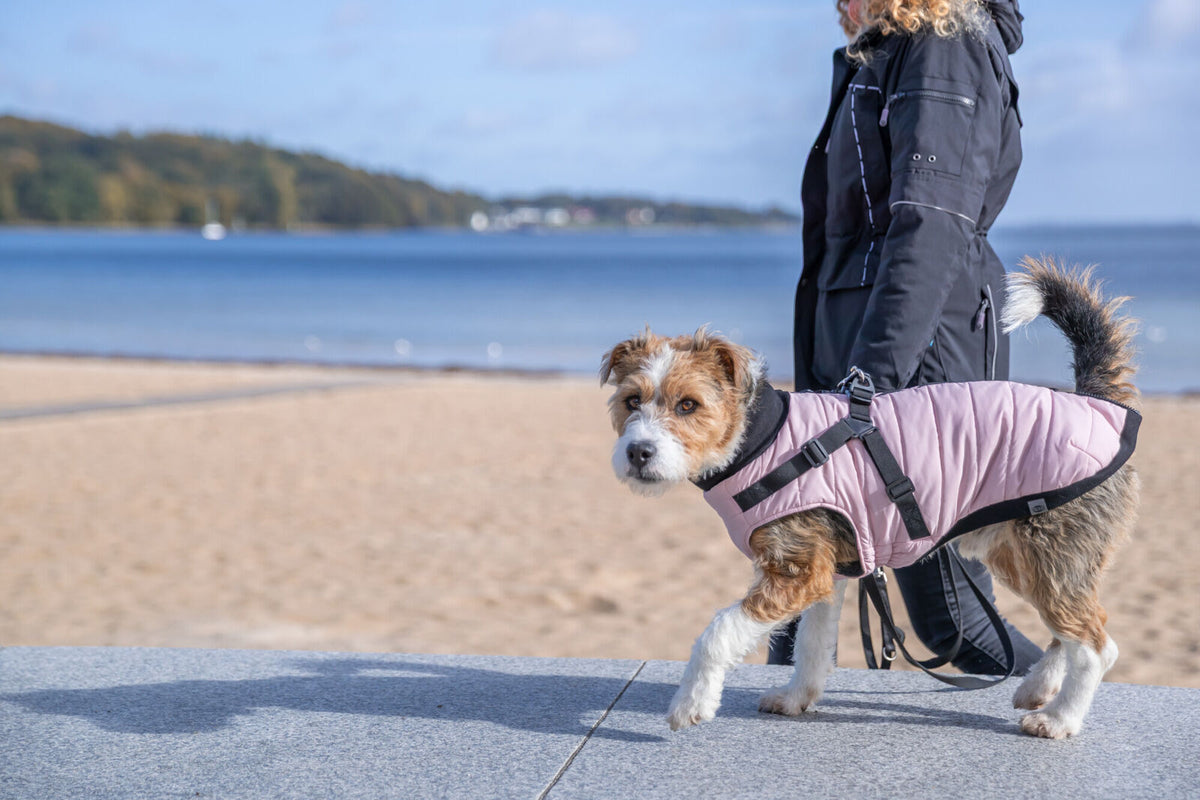 Manteau Pontis avec harnais rose