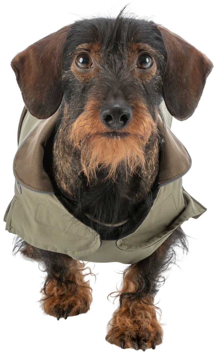 Manteau Hermy vert olive