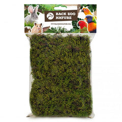 Mousse de forêt