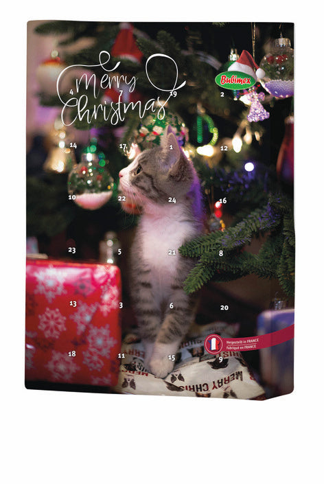 Calendrier de l’avent chat