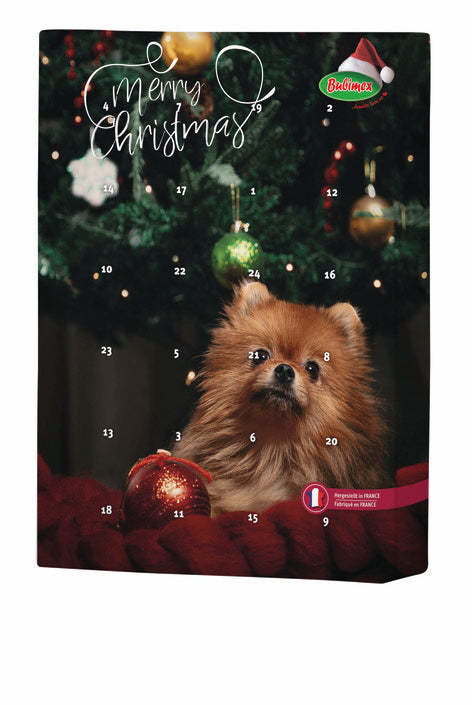 Calendrier de l’avent chien