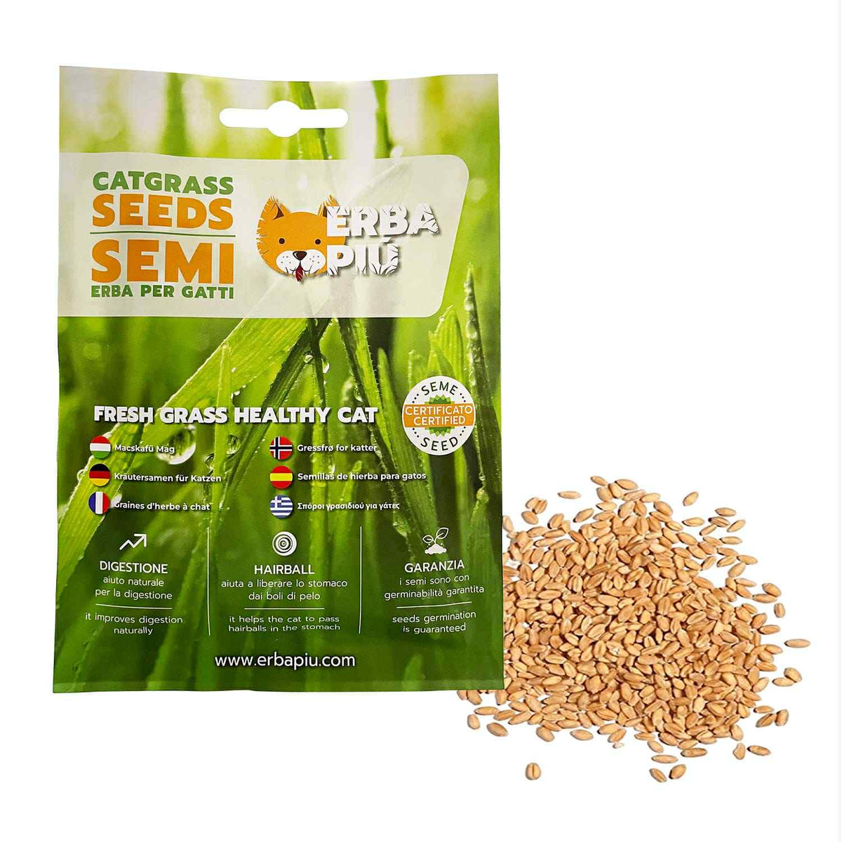 Graines herbe à chat en sachet