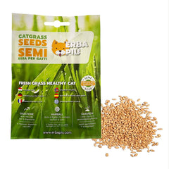 Graines herbe à chat en sachet