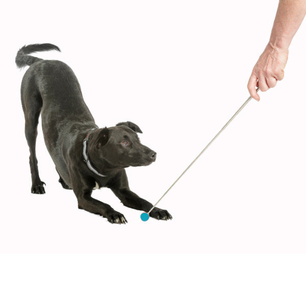 TARGET STICK COACHI