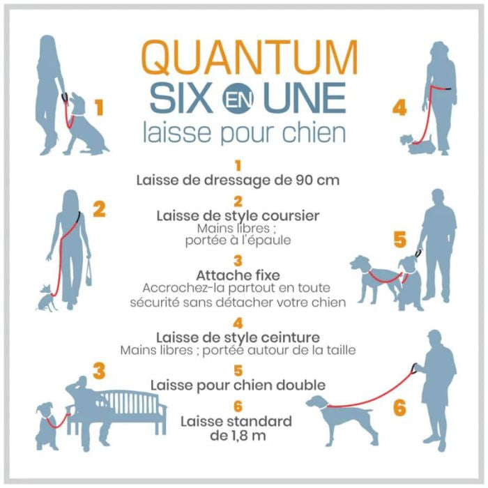 LAISSE MAIN LIBRE QUANTUM