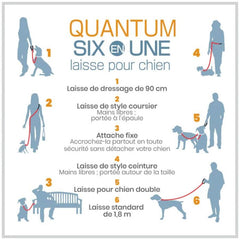 LAISSE MAIN LIBRE QUANTUM