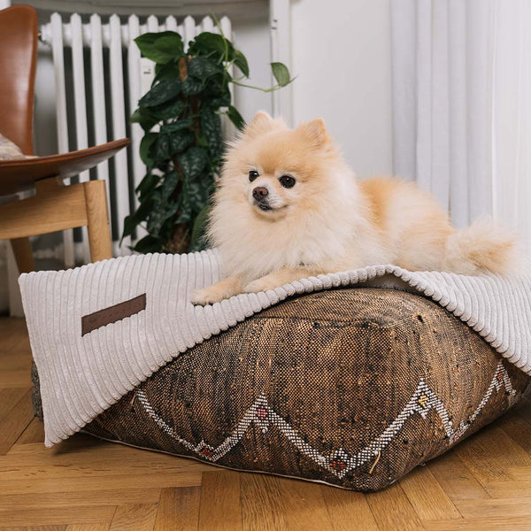 Couverture homey 95 Fantail