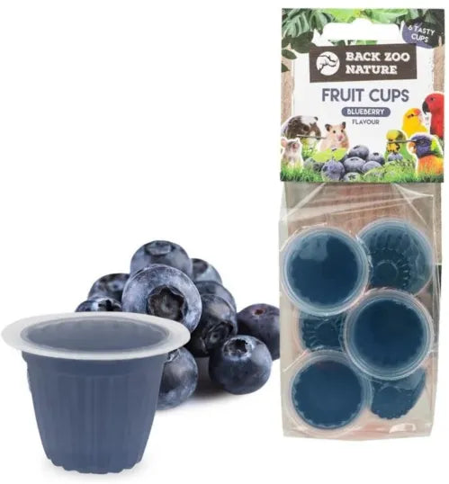 FRUIT CUPS MYRTILLE X 6
