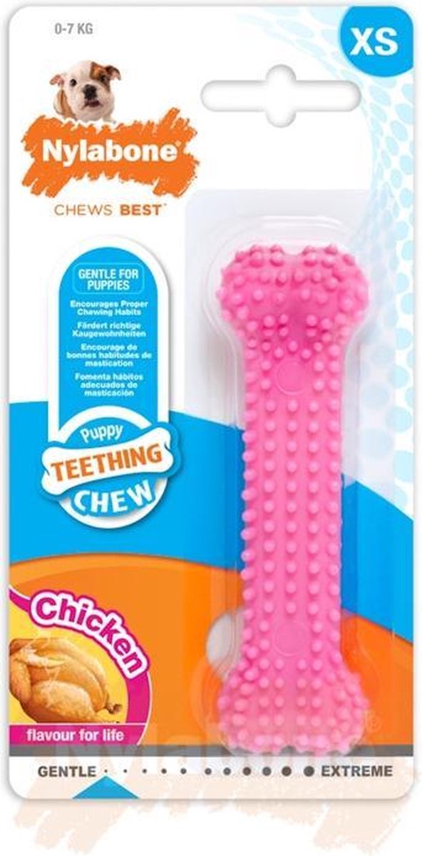 Nylabone os pour chiot XS