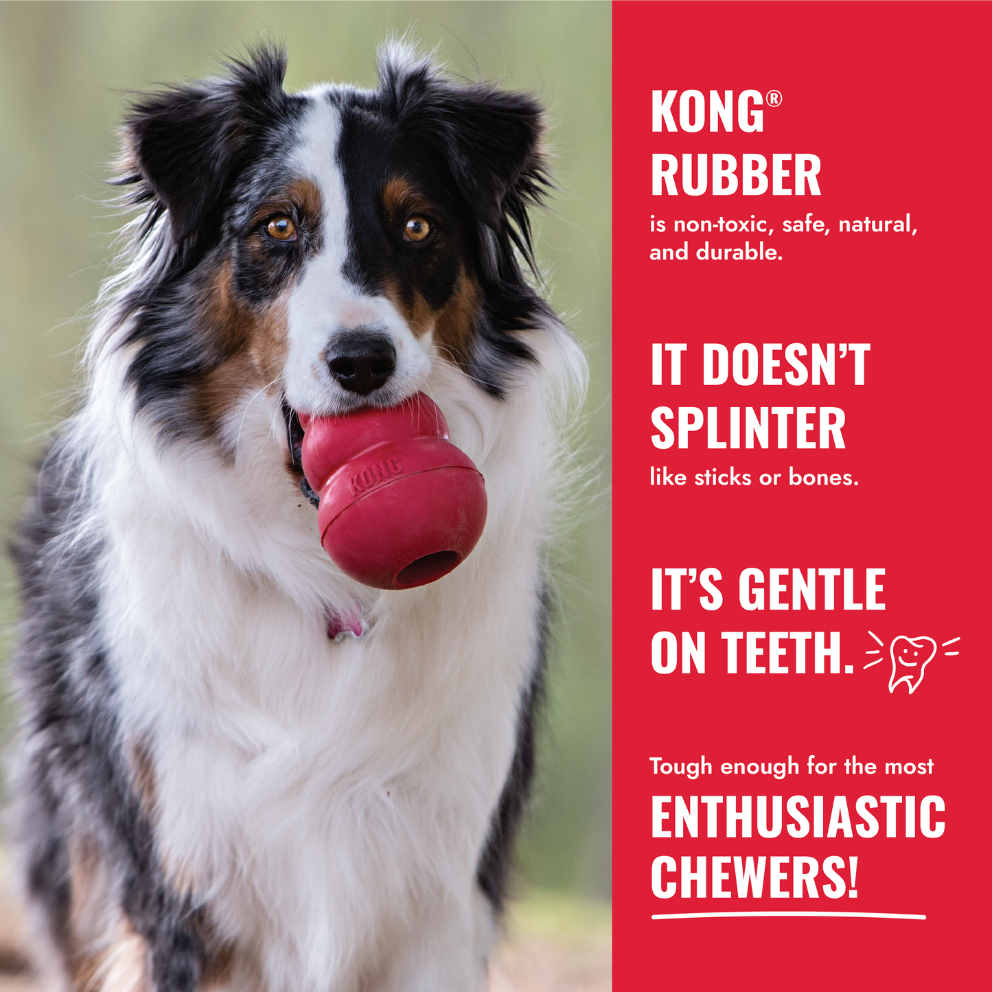 Kong ball