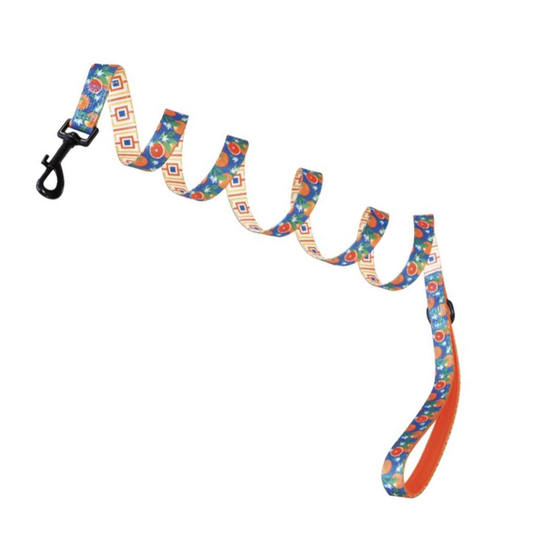 LAISSE 150 BLUE CITRUS