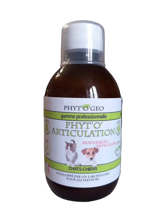 Phyto’o’articulation