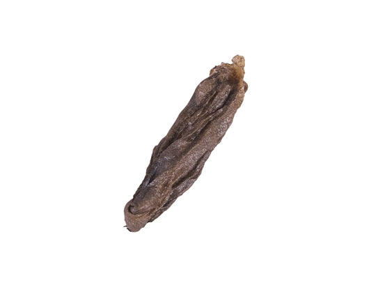 Peau de flétan