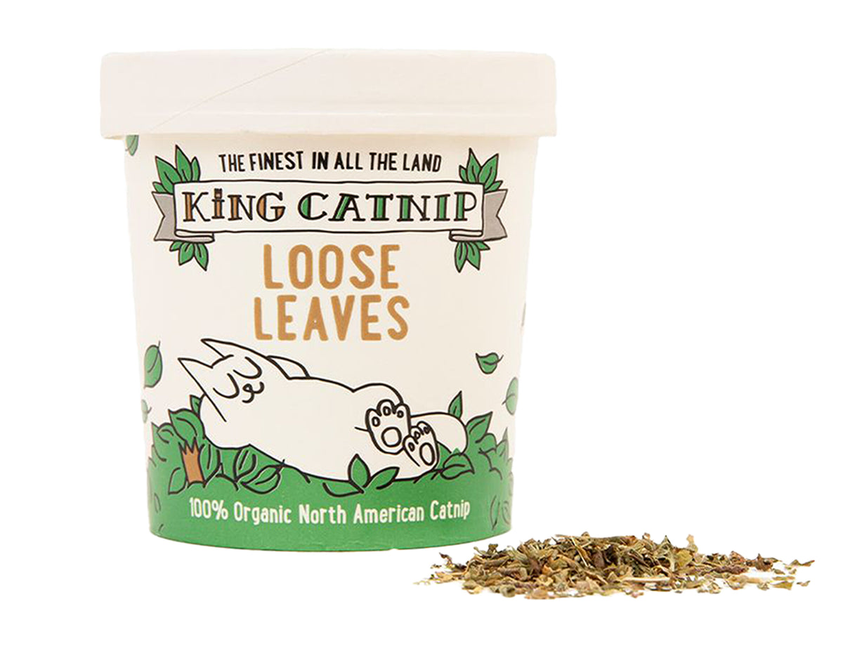 King Catnip Herbe à chat déshydratée en pot