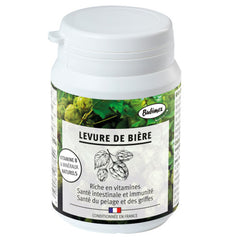 Poudre de levure de bière