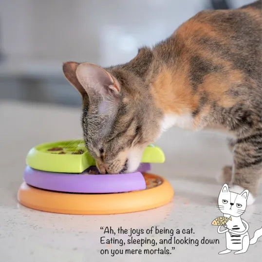 Kitty Lickin layer