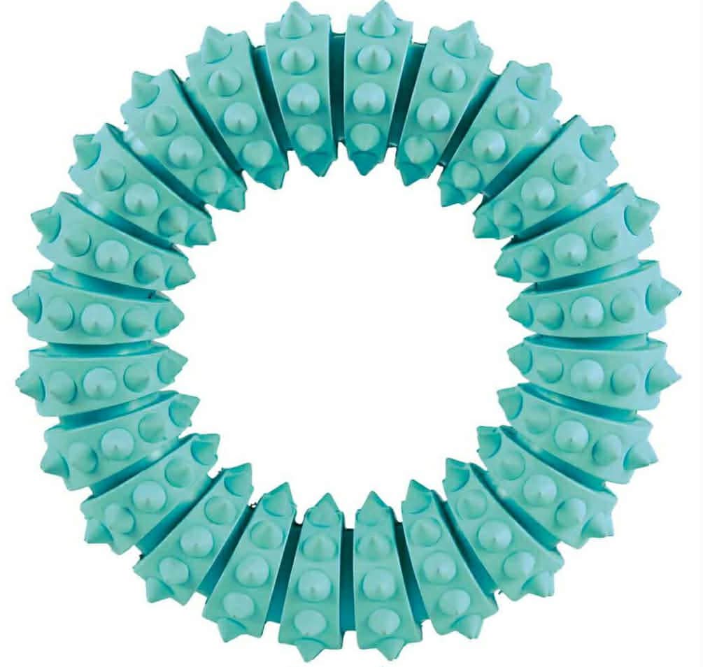 Anneau denta fun menthe