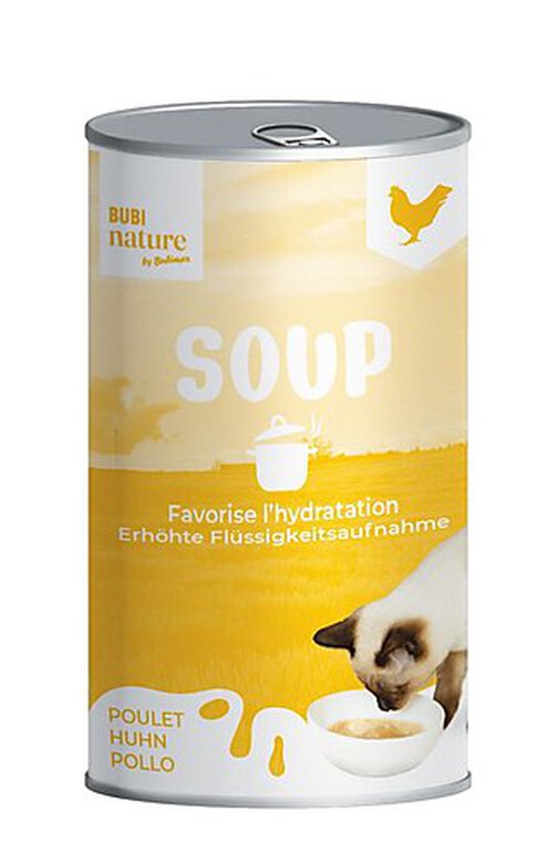 SOUP POULET