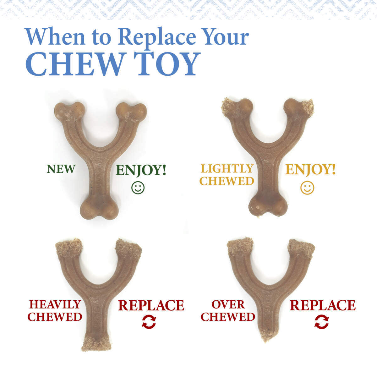 Nylabone puppy gourmet