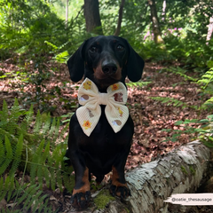 Cocopup Woodland Walkies