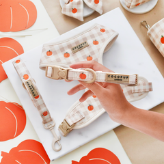 Cocopup Pumpkin Patch