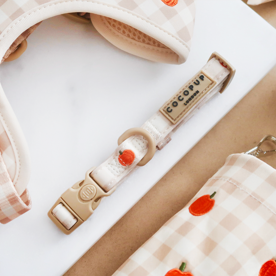 Cocopup Pumpkin Patch