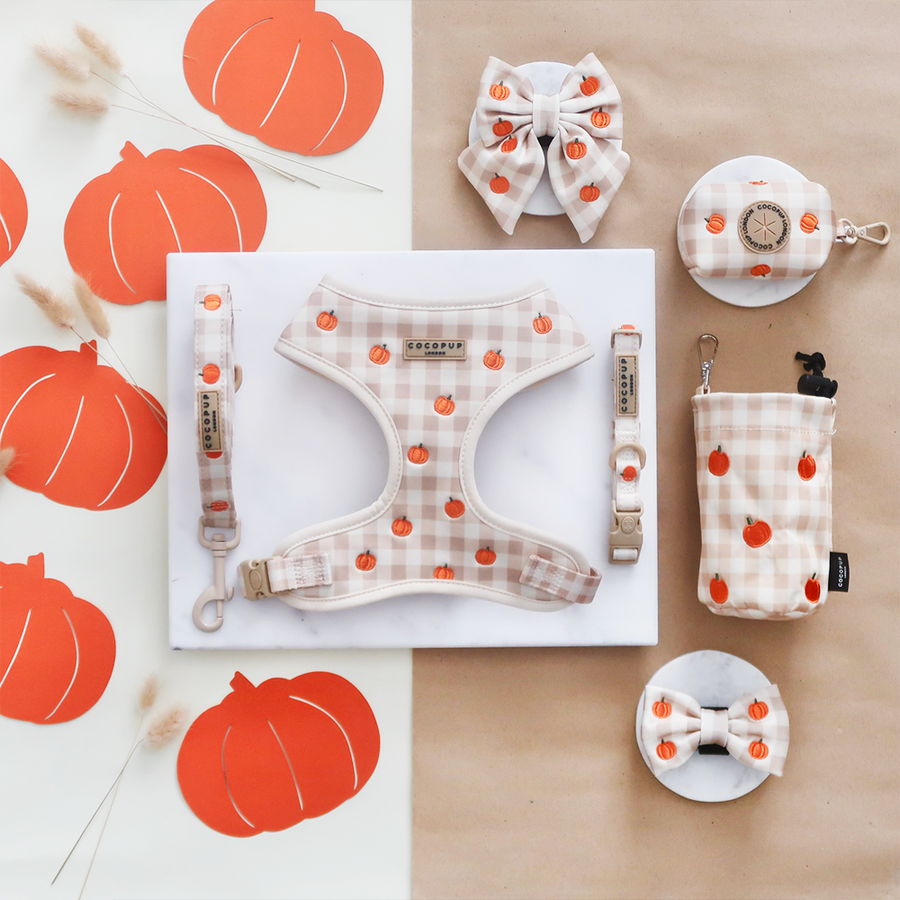 Cocopup Pumpkin Patch