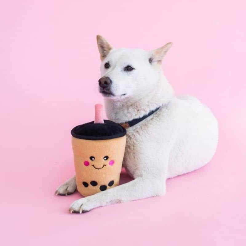 Zippy paws bubble tea