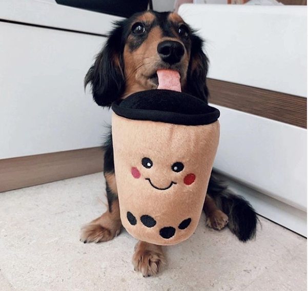 Zippy paws bubble tea