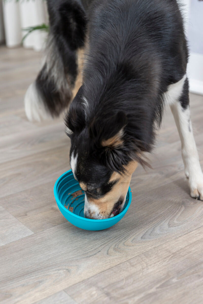 Lick’it bowl