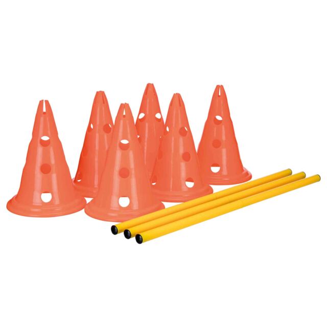 OBSTACLES AGILITY
