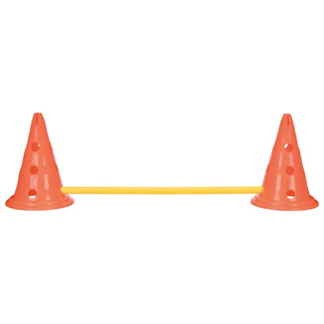 OBSTACLES AGILITY