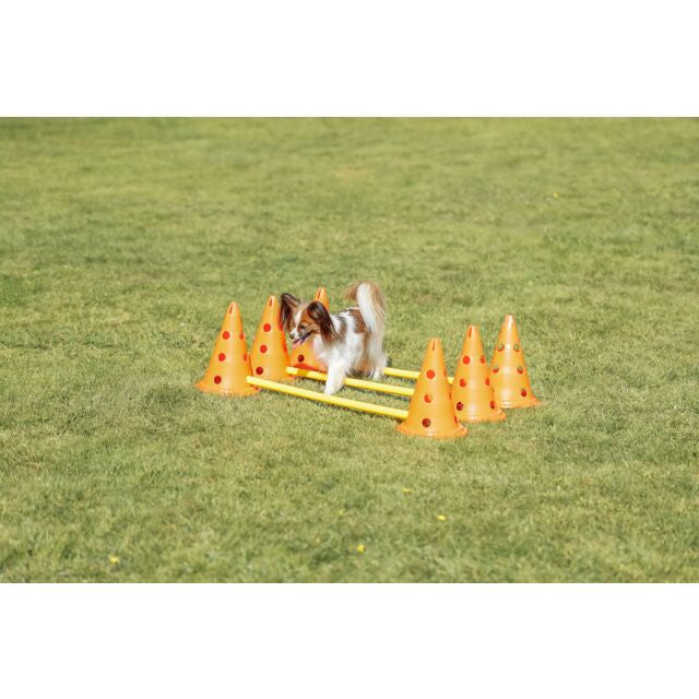 OBSTACLES AGILITY