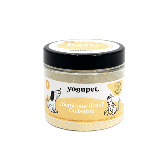 Kefir lyophilisé anti inflammatoire