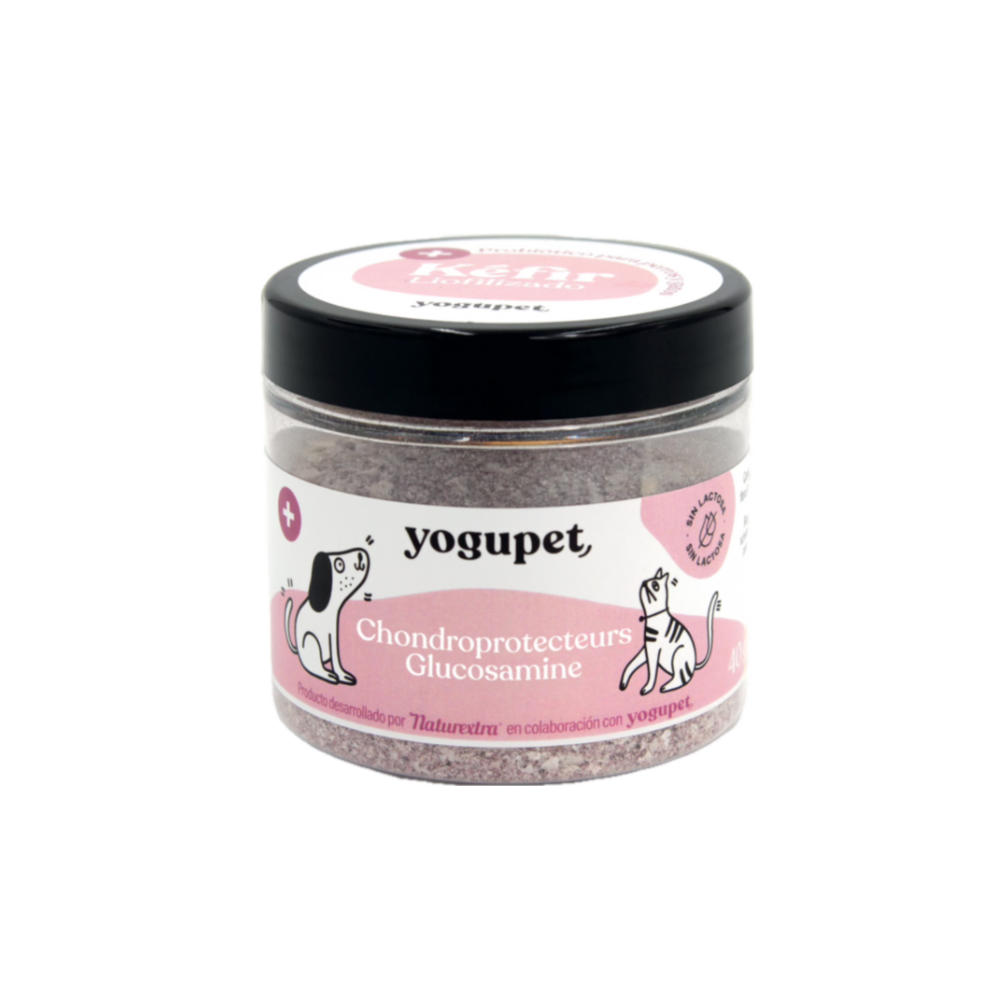 Kefir lyophilisé articulaire
