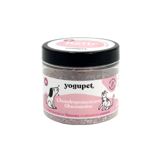 Kefir lyophilisé articulaire