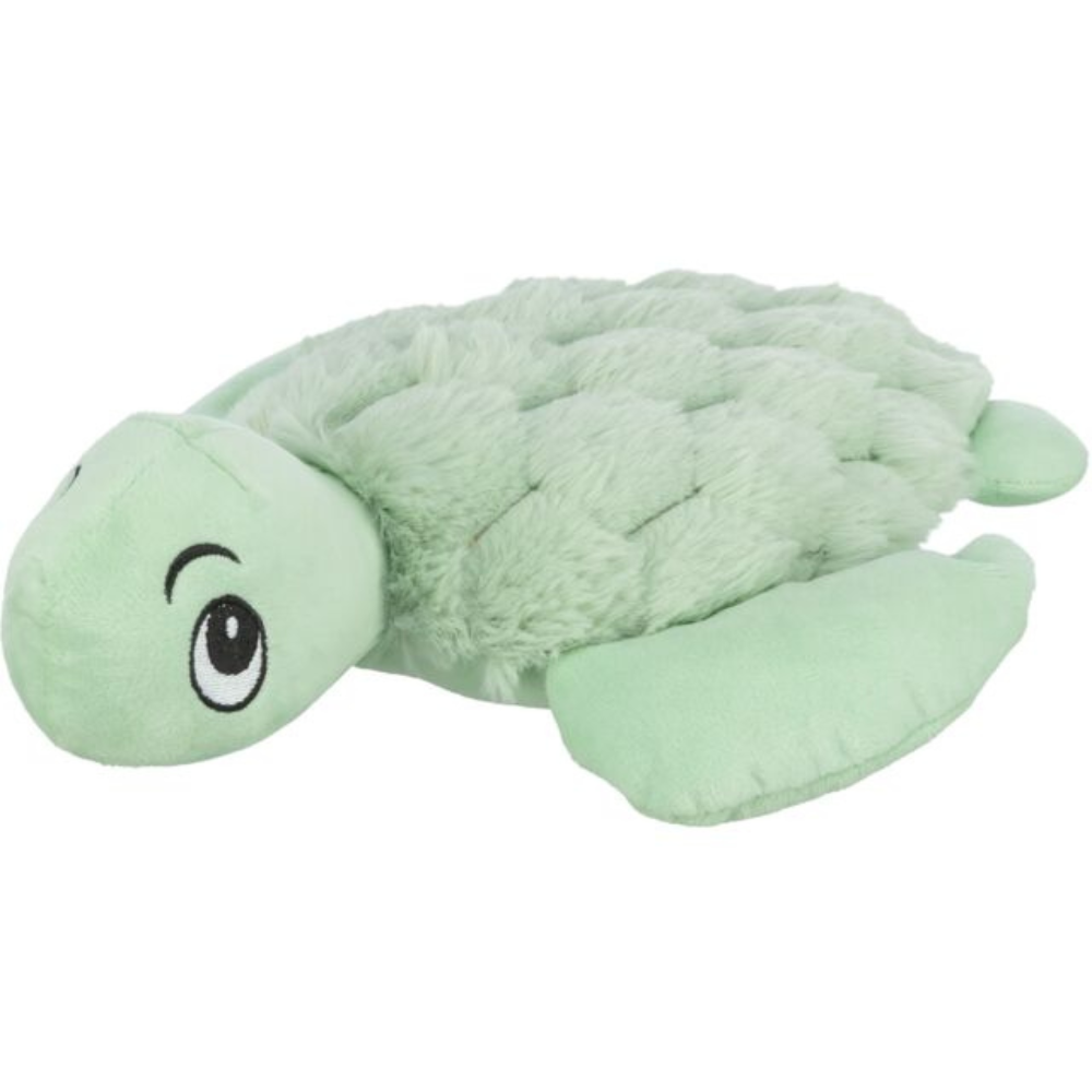 Tortue vert d’eau