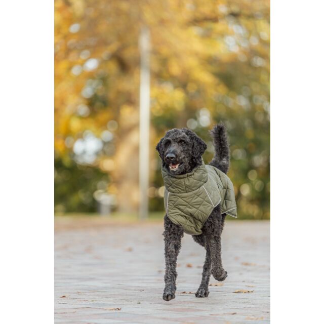 Manteau minot