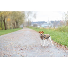 Manteau Pirou sable avec Harnais