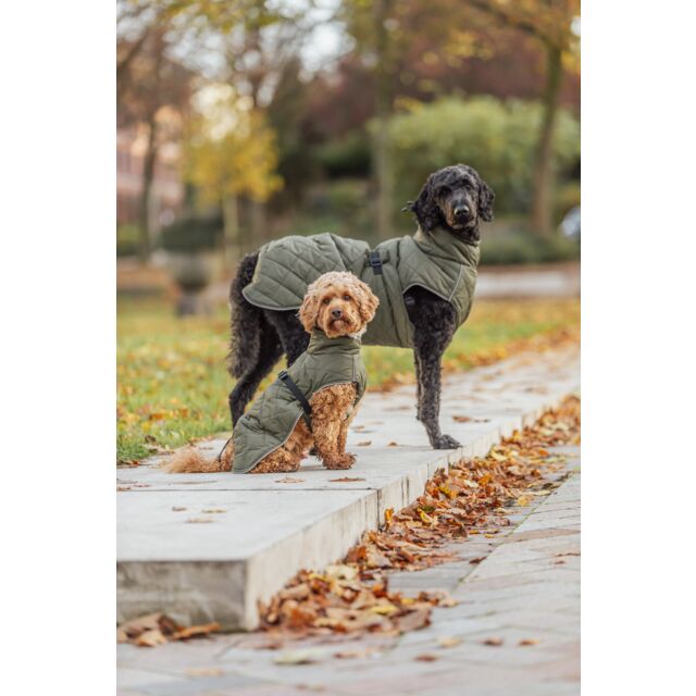 Manteau minot