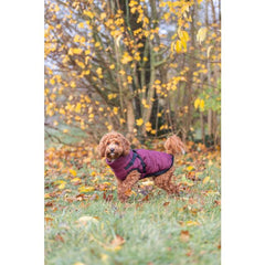 Manteau Pirou sangria avec harnais