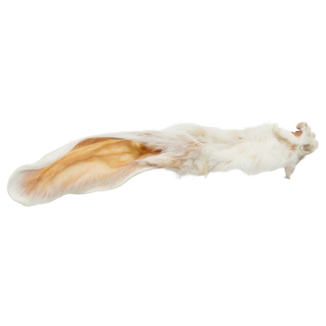 OREILLE DE LAPIN AVEC POILS VRAC